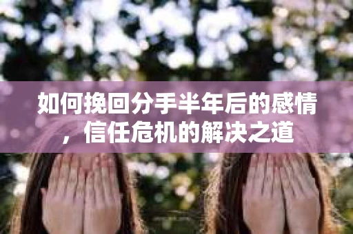 如何挽回分手半年后的感情，信任危机的解决之道