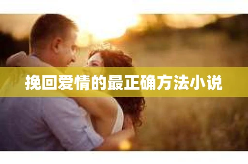挽回爱情的最正确方法小说