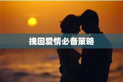 挽回爱情必备策略