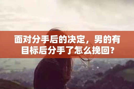 面对分手后的决定，男的有目标后分手了怎么挽回？