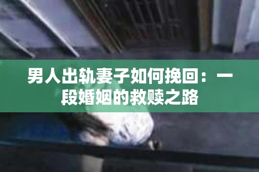 男人出轨妻子如何挽回：一段婚姻的救赎之路
