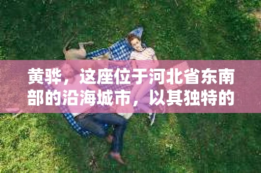 黄骅，这座位于河北省东南部的沿海城市，以其独特的地理位置和丰富的历史文化而闻名。然而，在这座城市中，还有一群人，他们以另一种方式默默守护着社会的公平与正义——私家侦探。今天，我们就来聊聊黄骅的私家侦探，看看他们是如何在这个城市中发挥作用的。