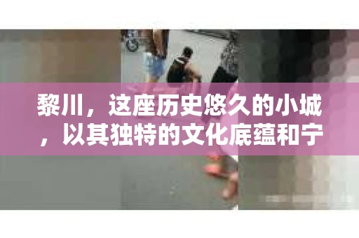 黎川，这座历史悠久的小城，以其独特的文化底蕴和宁静的生活节奏吸引着无数游客。然而，在这样一个看似平静的城市里，你是否会好奇，有没有私家侦探机构的存在呢？今天，就让我带你一探究竟。
