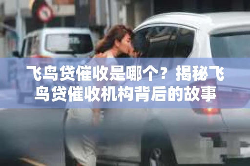 飞鸟贷催收是哪个？揭秘飞鸟贷催收机构背后的故事
