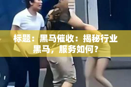 标题：黑马催收：揭秘行业黑马，服务如何？