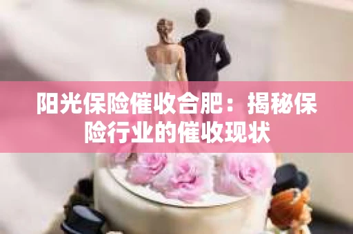 阳光保险催收合肥：揭秘保险行业的催收现状