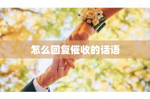 怎么回复催收的话语