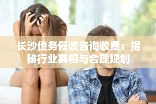长沙债务催收咨询收费：揭秘行业真相与合理规划