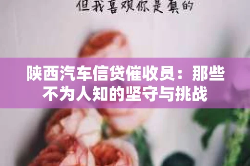陕西汽车信贷催收员：那些不为人知的坚守与挑战