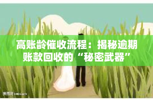 高账龄催收流程：揭秘逾期账款回收的“秘密武器”