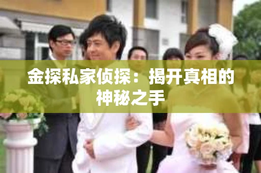 金探私家侦探：揭开真相的神秘之手