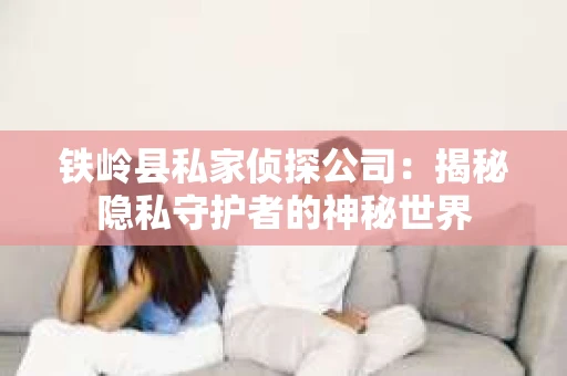 铁岭县私家侦探公司：揭秘隐私守护者的神秘世界