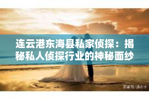 连云港东海县私家侦探：揭秘私人侦探行业的神秘面纱