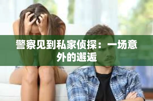 警察见到私家侦探：一场意外的邂逅