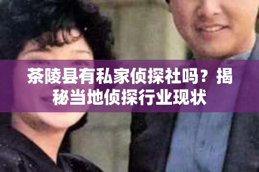 茶陵县有私家侦探社吗？揭秘当地侦探行业现状