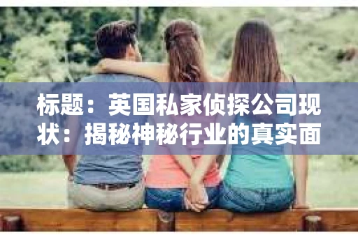 标题：英国私家侦探公司现状：揭秘神秘行业的真实面貌