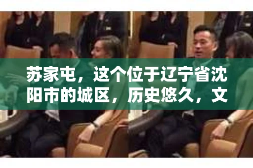 苏家屯，这个位于辽宁省沈阳市的城区，历史悠久，文化底蕴深厚。近年来，随着社会的发展，人们对于私家侦探的需求也逐渐增加。那么，苏家屯有私家侦探吗？今天，我们就来聊聊这个话题。