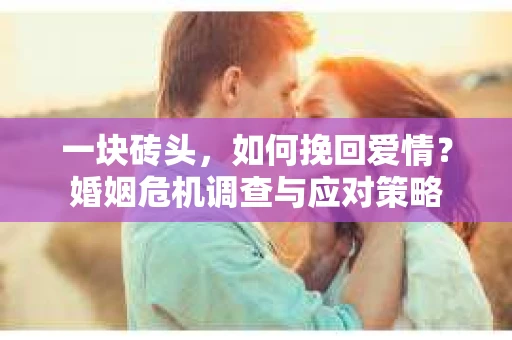 一块砖头，如何挽回爱情？婚姻危机调查与应对策略