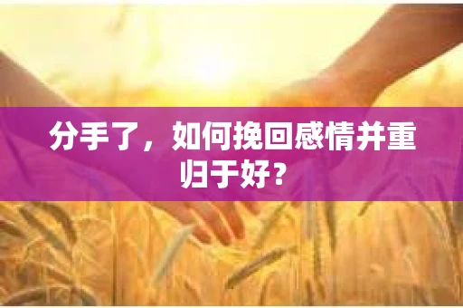 分手了，如何挽回感情并重归于好？