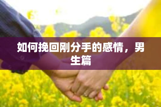 如何挽回刚分手的感情，男生篇