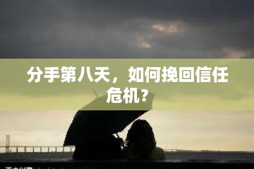 分手第八天，如何挽回信任危机？