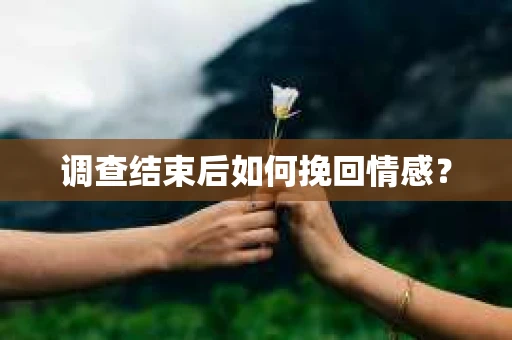 调查结束后如何挽回情感？