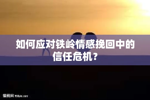 如何应对铁岭情感挽回中的信任危机？