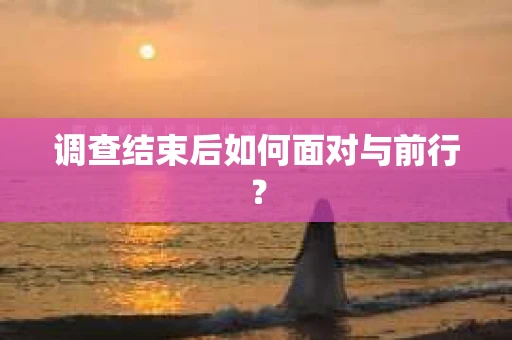 调查结束后如何面对与前行？