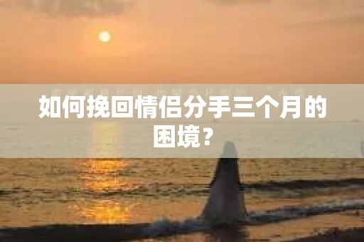 如何挽回情侣分手三个月的困境？